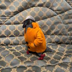 Фото отзыва 11274492