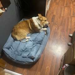 Фото отзыва 10923459