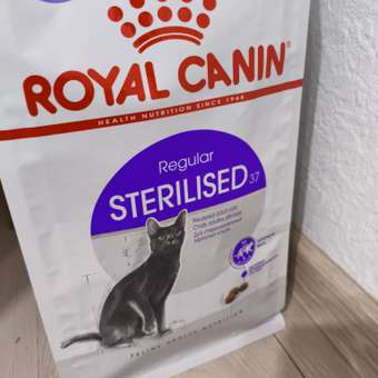 Корм сухой для кошек ROYAL CANIN Sterilised 3.5кг пожилых стерилизованных: отзыв пользователя. Зоомагазин Зоозавр