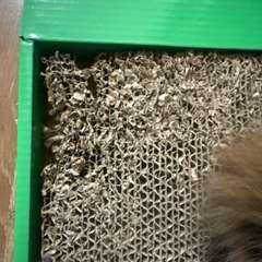 Фото отзыва 10698266