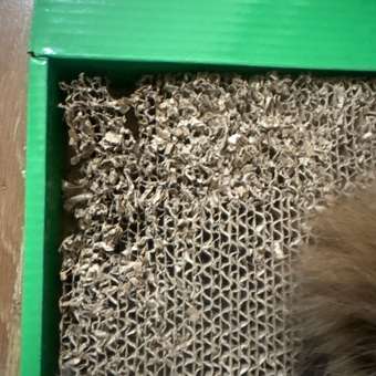 Когтеточка для кошек Barbaks прямоугольная картонная 56*30*3.5см: отзыв пользователя. Зоомагазин Зоозавр