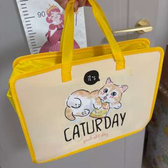 Папка с ручками Erhaft Caturday А4: отзыв пользователя Детский Мир