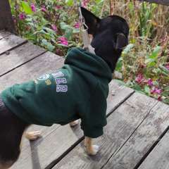 Фото отзыва 10525411