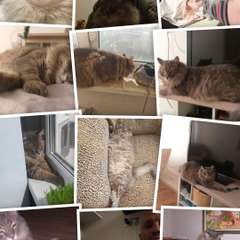 Фото отзыва 10747557