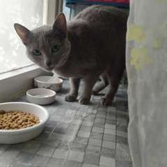 Фото отзыва 10554895