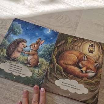 Картонная книга для малышей Расту по возрасту "Засыпайка" 1+: отзыв пользователя Детский Мир