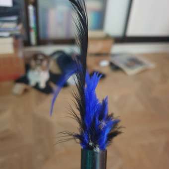 Игрушка для кошек Barbaks Дразнилка с натуральными черными перьями-наконечником 44см: отзыв пользователя. Зоомагазин Зоозавр