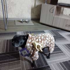 Фото отзыва 10721541