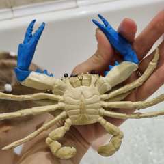 Фото отзыва 9390697