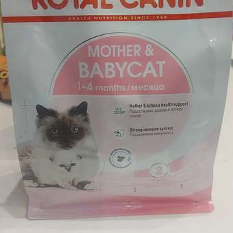 Корм для котят Royal Canin Mother and Babycat 400г: отзыв пользователя. Зоомагазин Зоозавр