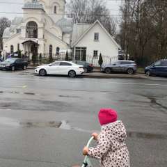 Фото отзыва 11261419