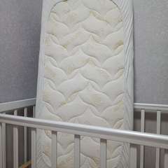 Фото отзыва 10726121