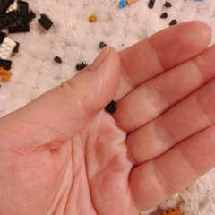 Фото отзыва 10862207