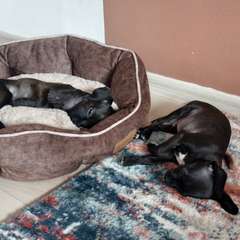 Фото отзыва 10537969