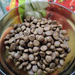 Фото отзыва 10638759