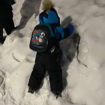 Рюкзак дошкольный Erhaft Панда: отзыв пользователя Детский Мир