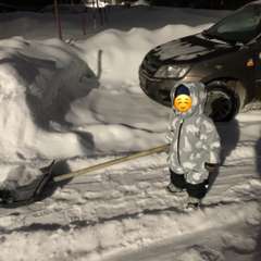 Фото отзыва 11229599