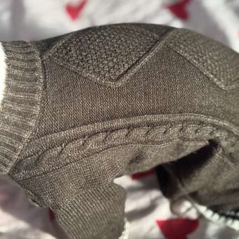 Комбинезон для собак и кошек Зоозавр: отзыв пользователя. Зоомагазин Зоозавр