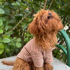 Фото отзыва 10130972