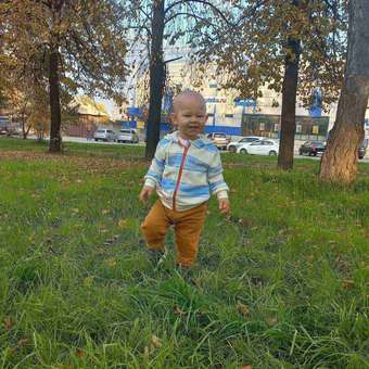 Толстовка Baby Gо Trend: отзыв пользователя Детский Мир