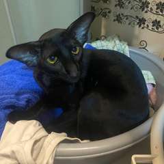 Фото отзыва 10671271