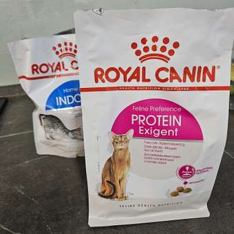 Корм сухой для кошек ROYAL CANIN Exigent Protein 400г привередливых к составу продукта: отзыв пользователя. Зоомагазин Зоозавр