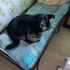 Фото отзыва 10754144