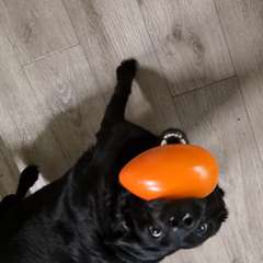 Фото отзыва 10862702