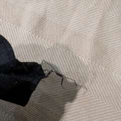 Фото отзыва 10612945