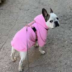 Фото отзыва 7544351