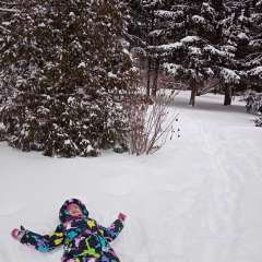 Фото отзыва 10790426