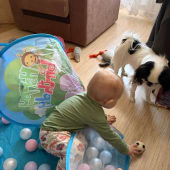 Сухой бассейн Sima-Land Зверята: отзыв пользователя Детский Мир