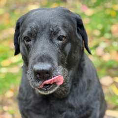 Фото отзыва 10691036