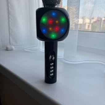 Микрофон Attivio: отзыв пользователя Детский Мир