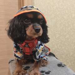 Фото отзыва 10516108