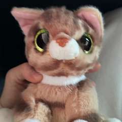 Фото отзыва 11172618