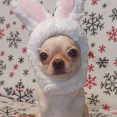 Фото отзыва 10886951