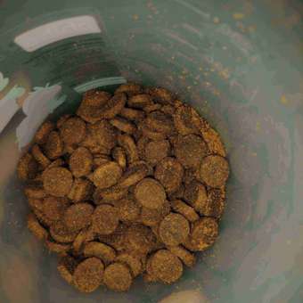 Корм для собак Brit 1кг Premium Dog Puppy and Junior Medium с курицей: отзыв пользователя. Зоомагазин Зоозавр