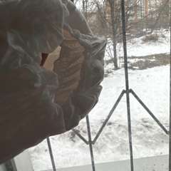 Фото отзыва 11114114