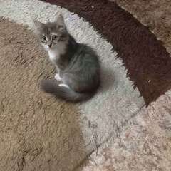 Фото отзыва 10945906