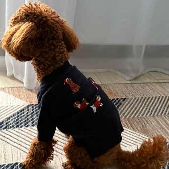 Джемпер для собак и кошек Зоозавр: отзыв пользователя. Зоомагазин Зоозавр