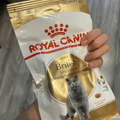 Фото отзыва 10590368