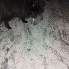 Фото отзыва 10818347