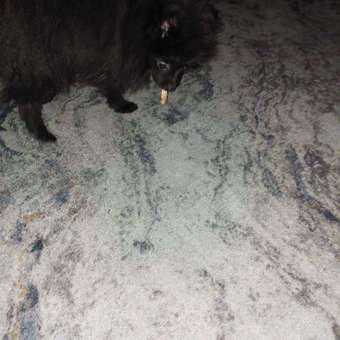 Лакомство для собак LIGHT BITES 55г Косточки из утки: отзыв пользователя. Зоомагазин Зоозавр