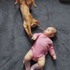 Фото отзыва 11169243