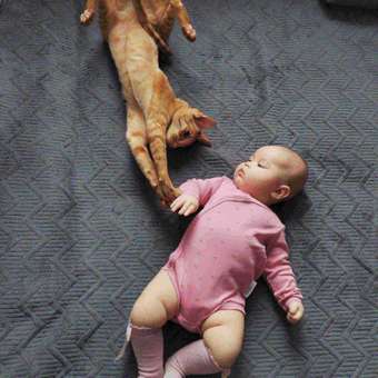 Боди 2 шт Эскимо: отзыв пользователя Детский Мир