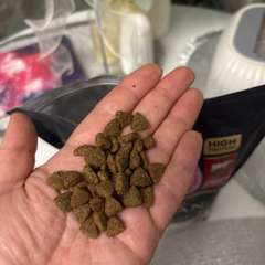 Фото отзыва 11090413