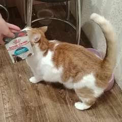 Фото отзыва 10964173