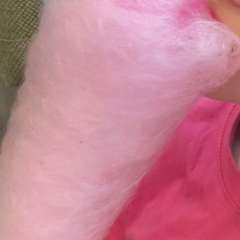 Фото отзыва 11160140