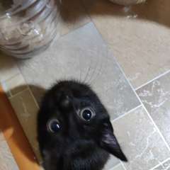 Фото отзыва 10960245